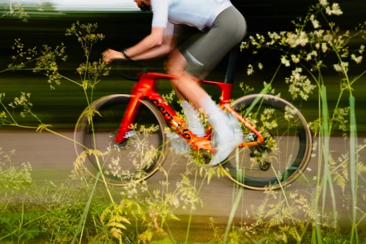 aGWmNXfc4bHWi-p-_Z8A_9126.webp