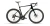 ultegra.webp