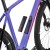 G85-Cezal-Speckeld-Purple-Neon-Orange-SRAM-Force-1x13-1.jpg