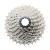 cover.webp