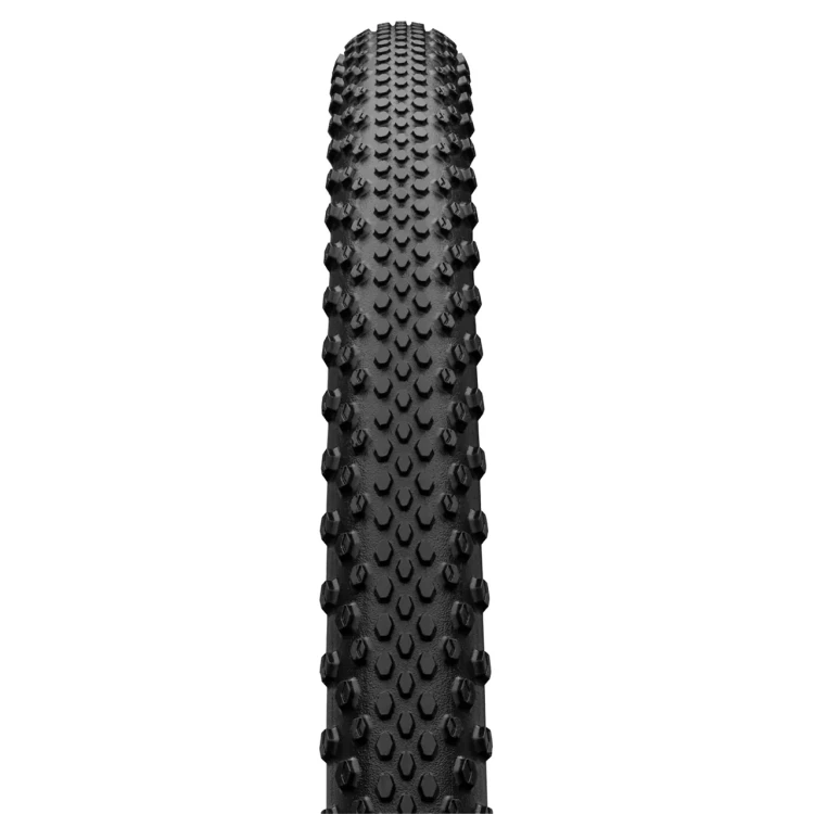 terra_trail_shieldwall_02.jpg.thumb.1280.1280.webp
